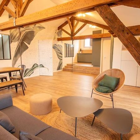 Apartament Loft Atelier Hyper Centre Albi Zewnętrze zdjęcie