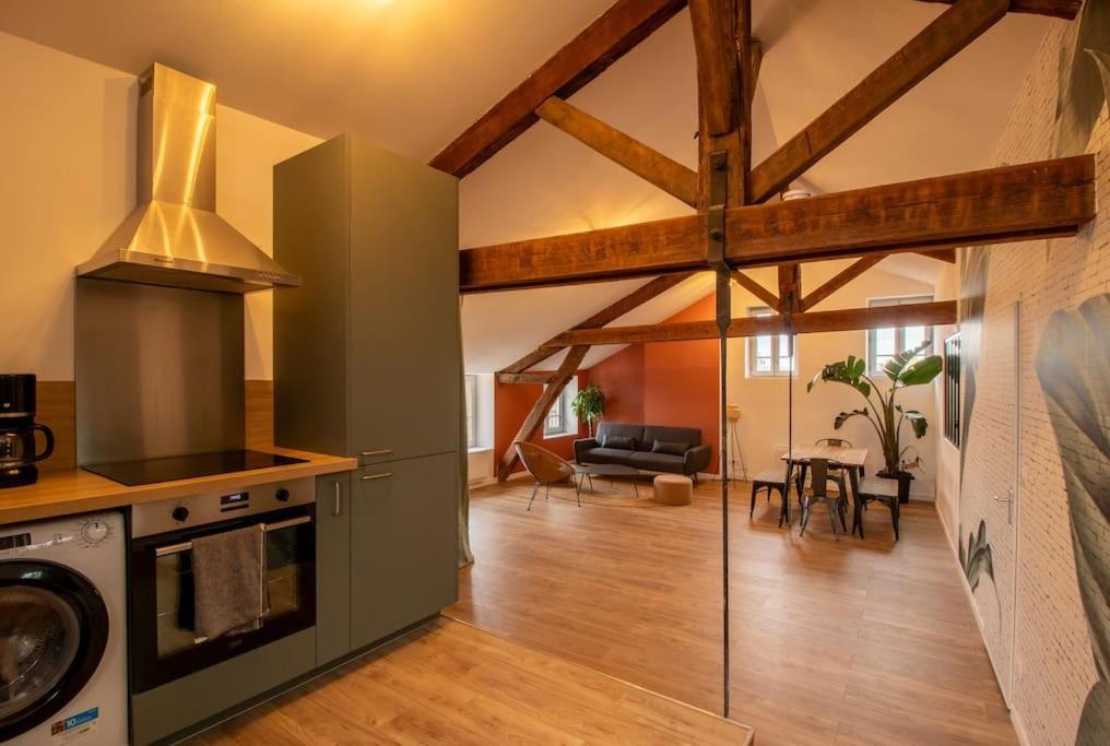 Apartament Loft Atelier Hyper Centre Albi Zewnętrze zdjęcie